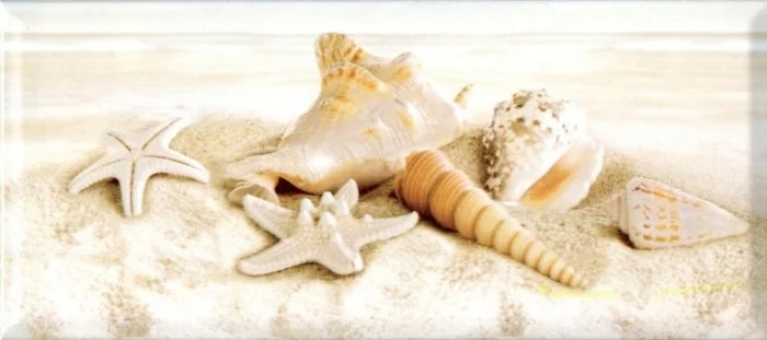 Плитка PiezaRosa LEGEND Starfish (средние) 20x45 арт.336762
