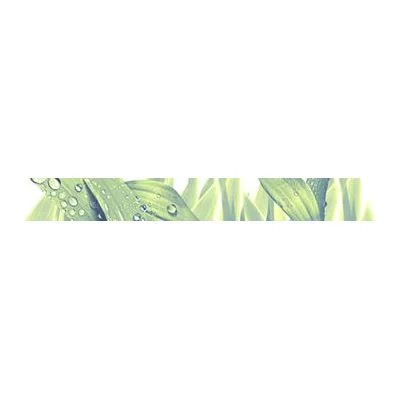 Плитка Azori Элара Триумф Бордюр 40,5х5