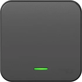 Выключатель одноклавишный ОП Blanca 10А IP20 (сх. 1) 250В с подсветкой с изолир. пластиной антрацит SE BLNVA101116 Выключатель одноклавишный ОП Blanca 10А IP20 (сх. 1) 250В с подсветкой с изолир. пластиной антрацит SE BLNVA101116