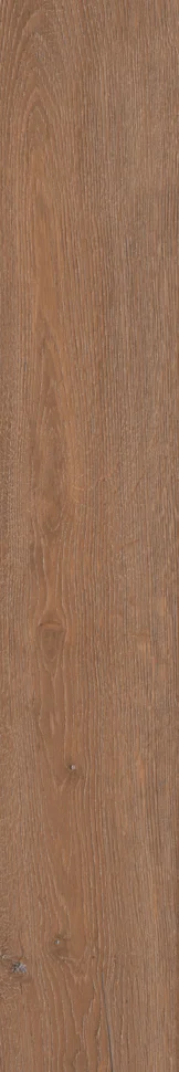 Керамогранит KERAMA MARAZZI Тровазо коричневый светлый матовый обрезной 13х80 арт.SG732590R