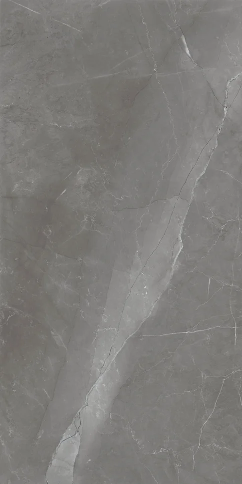 Керамогранит GLOBAL TILE Inspiro серый 60*120 арт.PGT 2199