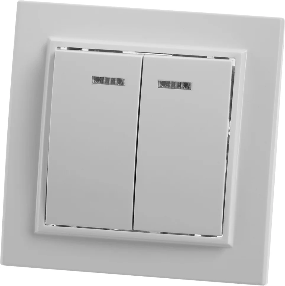 Выключатель двухклавишный СП 220V, 10А, c индикатором, белый (PSW10-9002-01) ЭРНА STEKKER