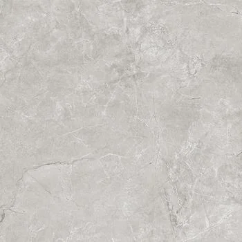 Керамогранит LAPARET Pluto Silver светло-серый матовый 59,50x59,50 арт. SG625820R