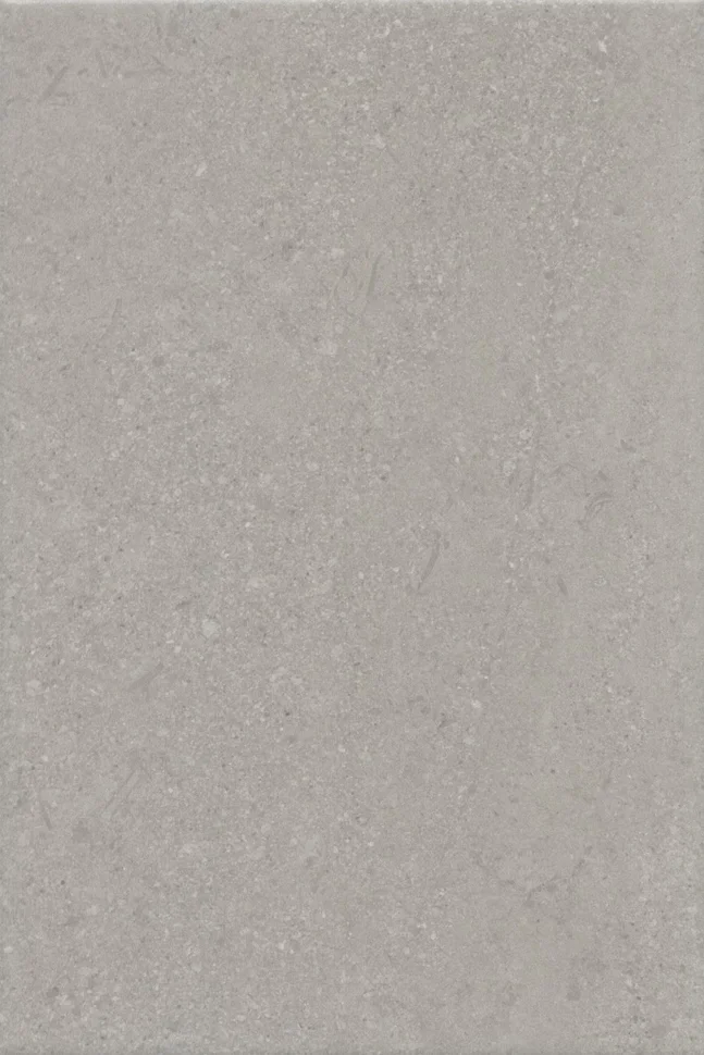 Керамогранит KERAMA MARAZZI Матрикс серый матовый 20х30 арт.8343