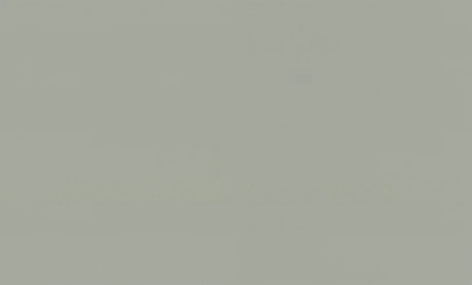 Обои ПАЛИТРА арт.PL72536-71 виниловые горячего тиснения на флизелиновой основе 1,06*10,05м Magnolia фон