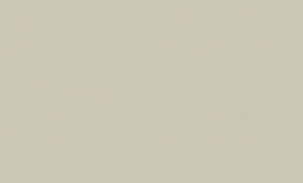 Обои ERISMANN арт.60980-04 виниловые горячего тиснение на флизелиновой основе 1,06*10,05м Basic Etel фон