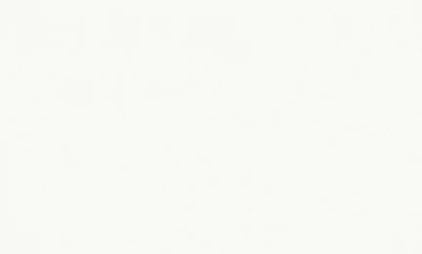 Обои Wall Decor арт.75259-14 виниловые горячего тиснения на флизелиновой основе 1,06*10,05м Оазис фон