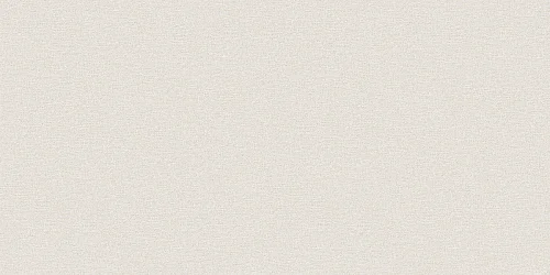 Обои ERISMANN арт.60620-04 виниловые горячего тиснение на флизелиновой основе 1,06*10,05м Spectral Color фон