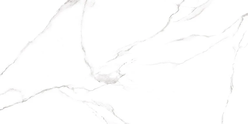 Керамогранит AlmaCeramica Carrara матовый 600*1200*8,5 арт.GFU60120CRR00R