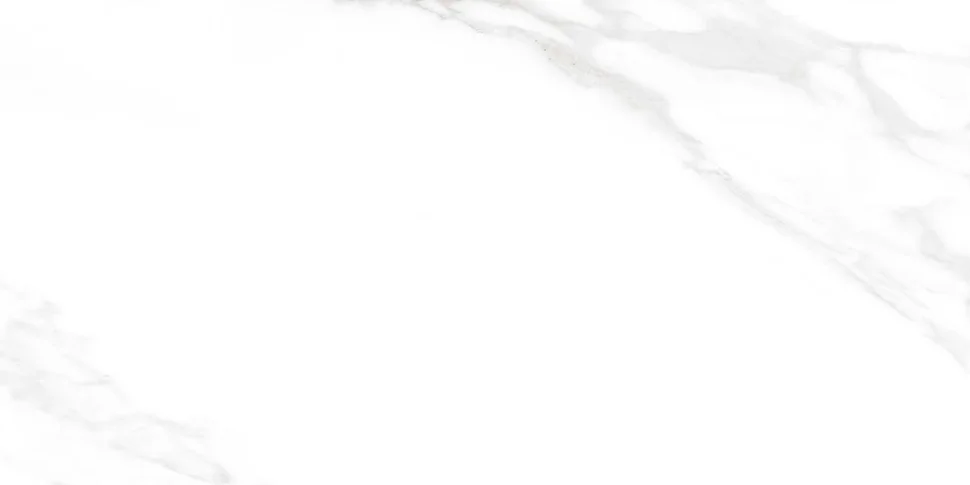 Керамогранит CERADIM Carrara Excellent Silver белый 60х120 матовый