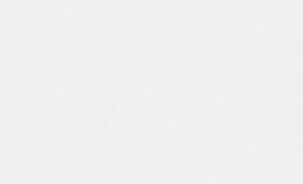 Обои ERISMANN арт.61035-02 виниловые горячего тиснение на флизелиновой основе 1,06*10,05м Northland фон