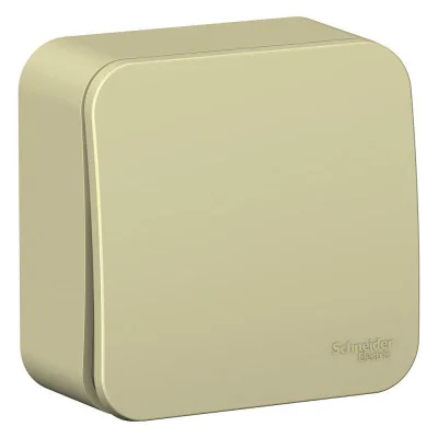 Выключатель одноклавишный ОП Blanca 10А IP20 (сх. 1) 250В с изолир. пластиной беж. SE BLNVA101017 SE Выключатель одноклавишный ОП Blanca 10А IP20 (сх. 1) 250В с изолир. пластиной беж. SE BLNVA101017 SE