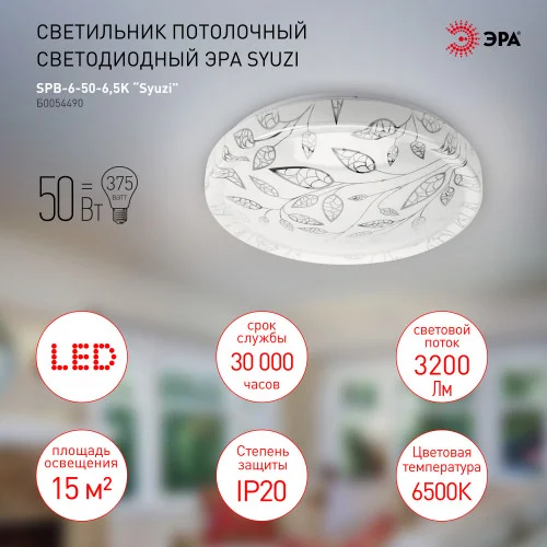 Светильник светодиодный ЭРА 50Вт 6500K Syuzi SPB-6-50-6,5K