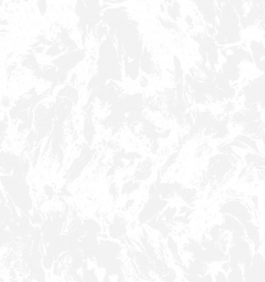 Обои Саратовские бумажные дуплекс С6 гр.2 Лирика фон 06 10,05*0,53