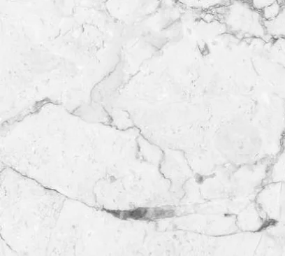 Керамогранит ABSOLUT GRES Carrara White matt 600x600