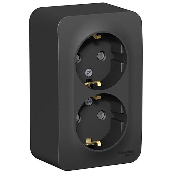 Розетка 2-м ОП Blanca 16А IP20 250В с заземлением и защитной шторкой антрацит SE BLNRA011206 Розетка 2-м ОП Blanca 16А IP20 250В с заземлением и защитной шторкой антрацит SE BLNRA011206