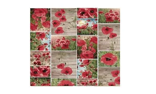 Клеенка ПВХ FLORISTA на нетканой основе с печатным рисунком 1,4х20м 404-01