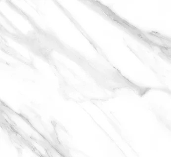 Керамогранит ABSOLUT GRES White Statuario matt 600x600