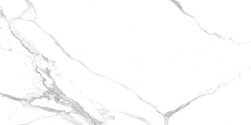 Керамогранит CERADIM Calacatta Splendid Silver белый 60х120 матовый
