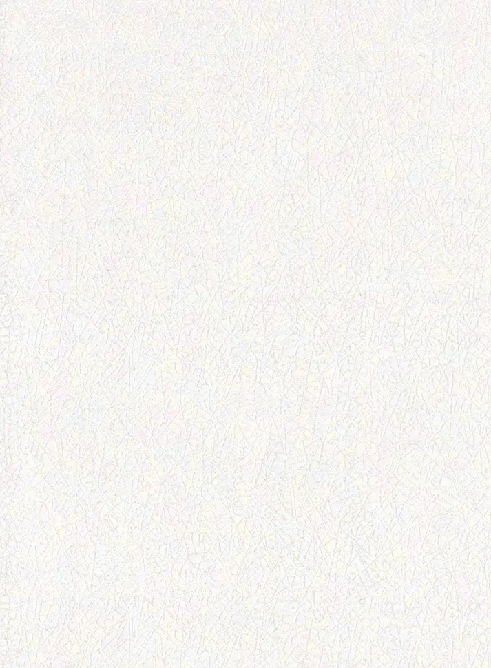 Обои VILIA арт.1847-81 вспененный винил на бумажной основе 0,53*10,05м Паутинка декор (эксклюзив) Обои VILIA арт.1847-81 вспененный винил на бумажной основе 0,53*10,05м Паутинка декор (эксклюзив)